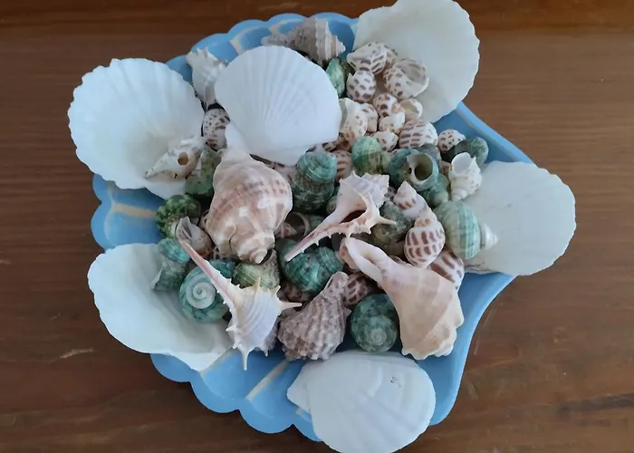 公寓 Emmy 干尼亞