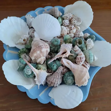 Lejlighed Emmy Chania (Crete)